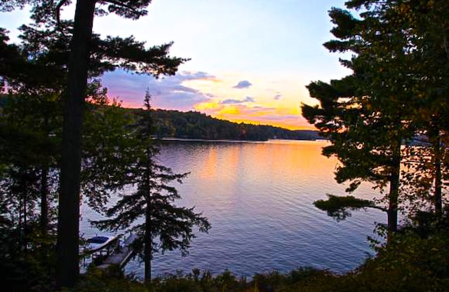 property view of water