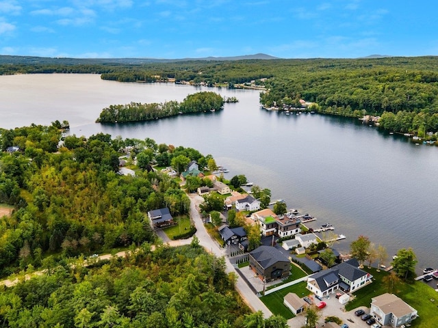 70 Sunset Dr, Belmont, NH 03220