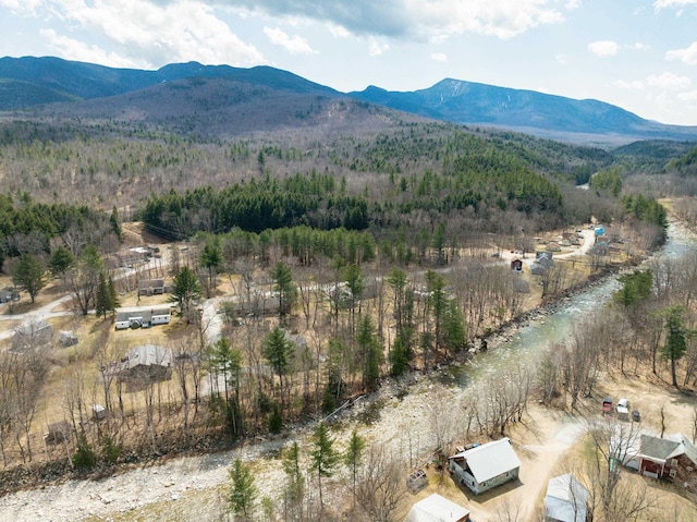 drone / aerial view of a mountain backdrop and a forest