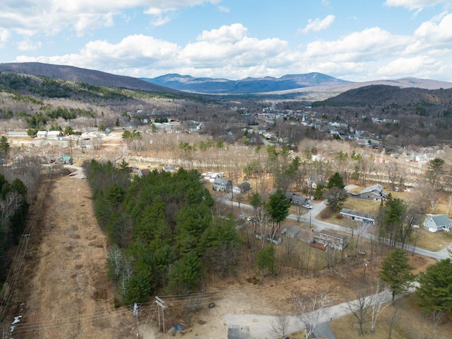 view of mountain background