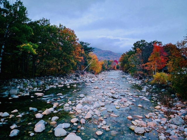 water view featuring a heavily wooded area and a mountain backdrop