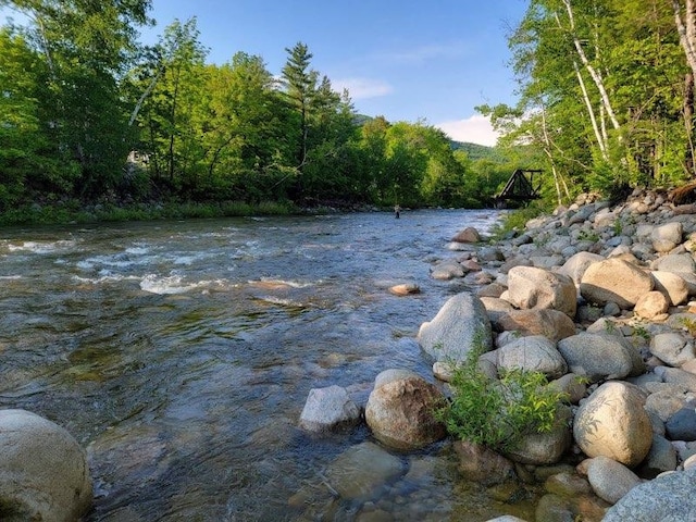 water view featuring a forest