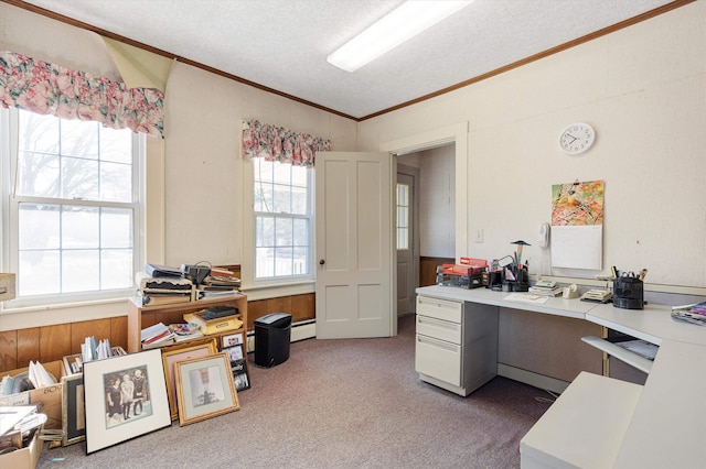 33 Bunker Hill Rd, Auburn, NH 03032 - office with carpet flooring, vaulted ceiling, crown molding, a baseboard radiator, and a textured ceiling