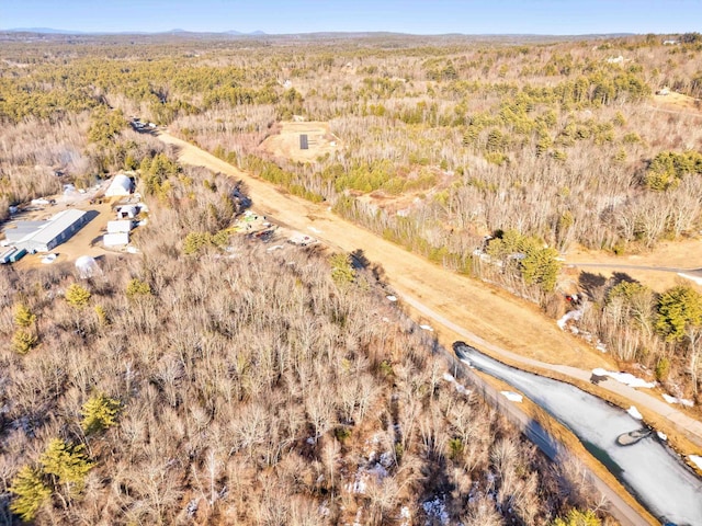 33 Bunker Hill Rd, Auburn, NH 03032 - view of property location with a heavily wooded area