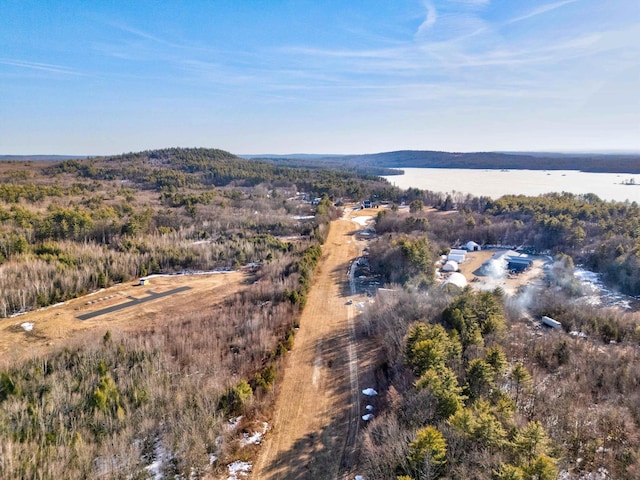 33 Bunker Hill Rd, Auburn, NH 03032 - drone / aerial view of a large body of water
