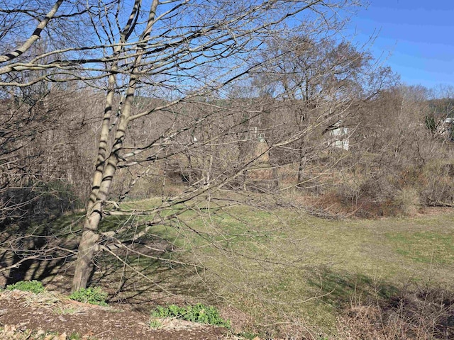 view of nature