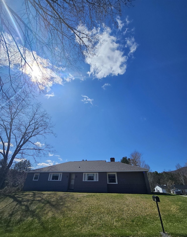 back of house featuring a yard