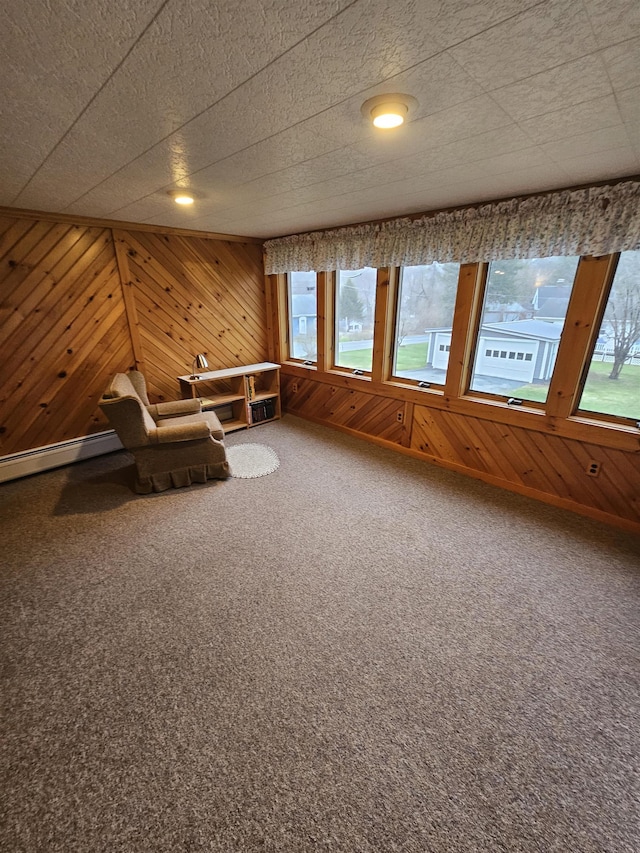 unfurnished room with wood walls and carpet floors