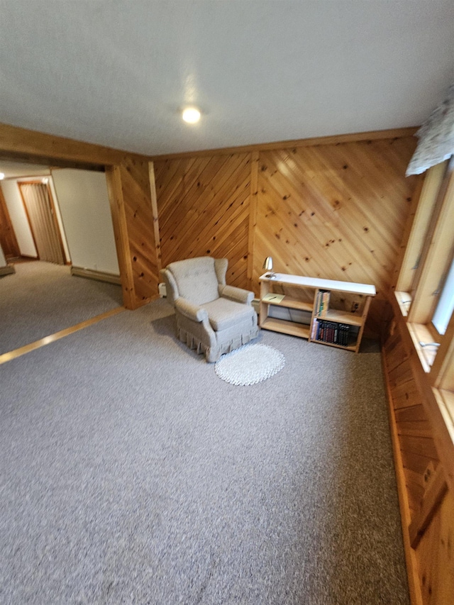 unfurnished room with wooden walls and carpet floors