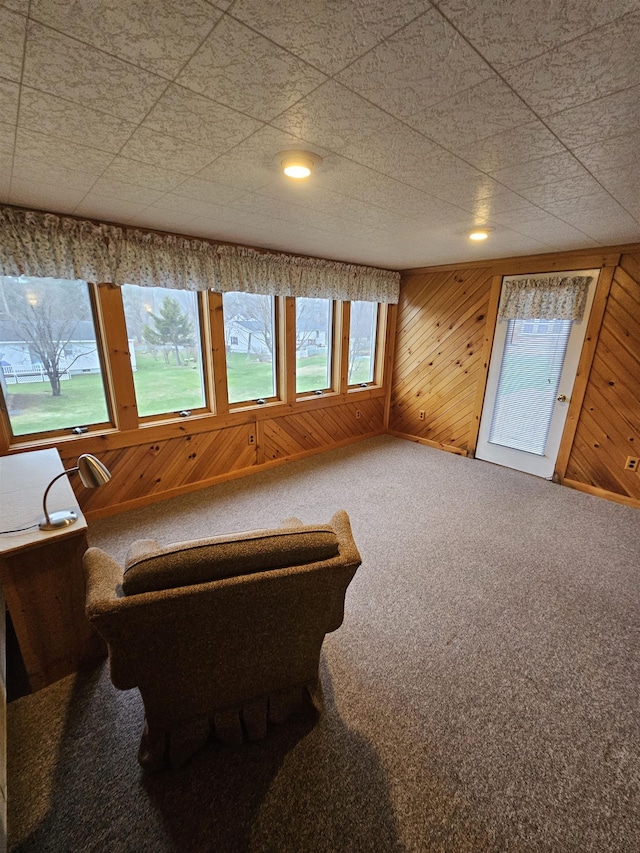 living area featuring wood walls and carpet