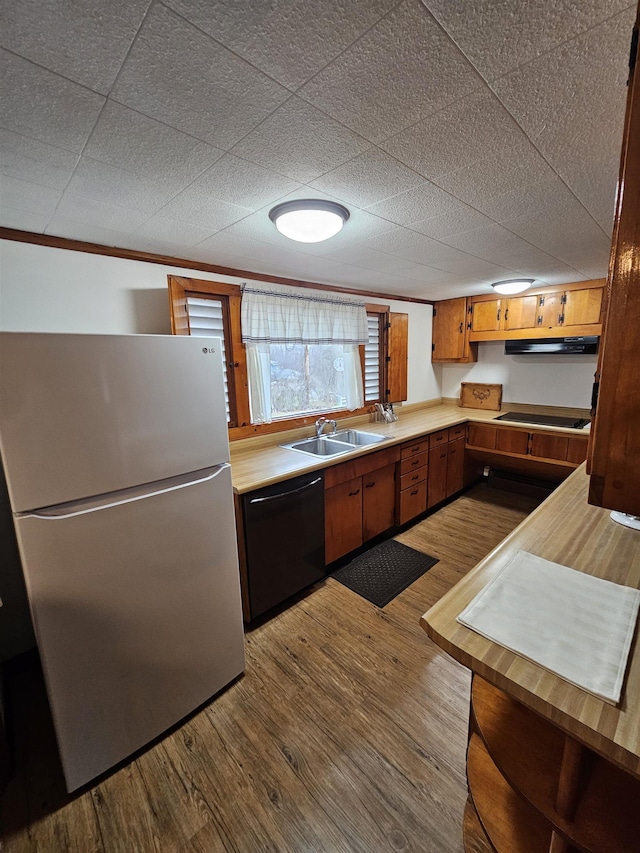 kitchen featuring black electric cooktop, dark wood-style flooring, freestanding refrigerator, dishwasher, and under cabinet range hood