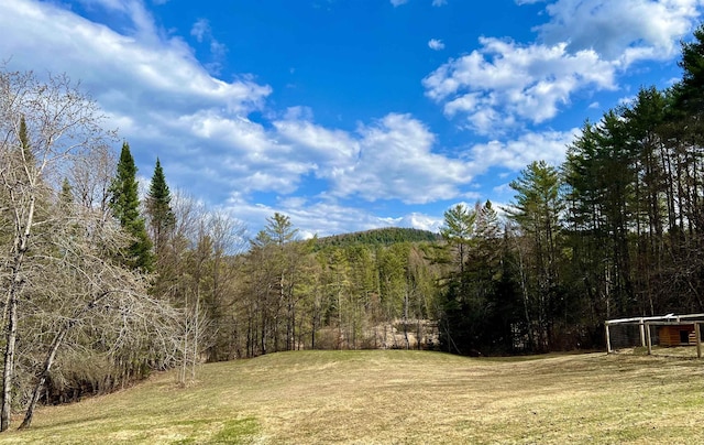 view of yard featuring a view of trees