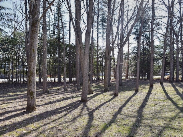 1419 Stonebridge Rd, Georgia, VT 05468 - view of yard