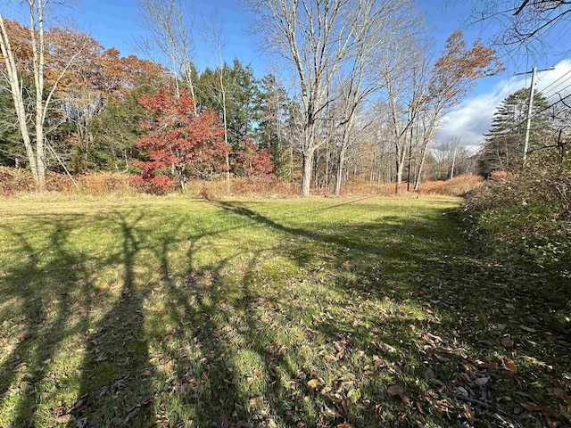 view of yard featuring a wooded view
