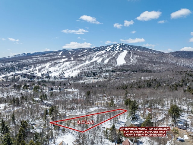 24 Lower Highlands, Dover, VT 05356