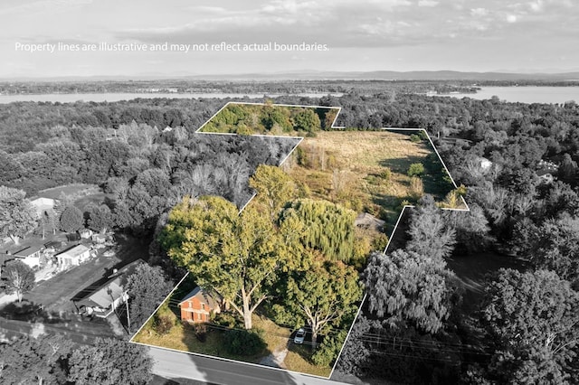 drone / aerial view featuring a forest view and a water view