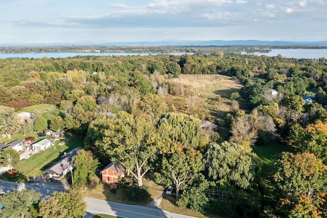 birds eye view of property with a view of trees and a water view