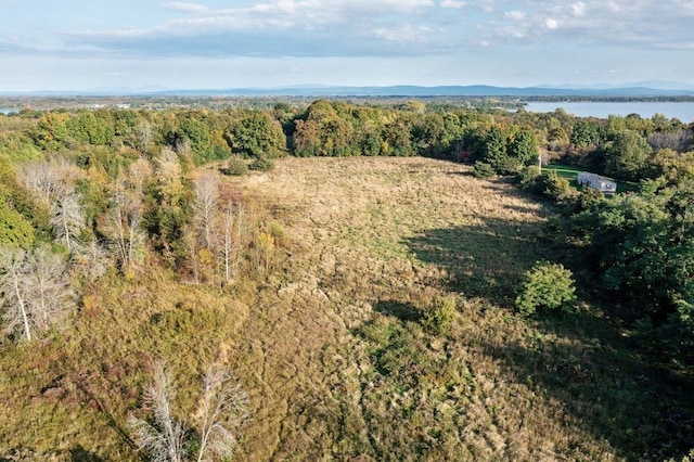 drone / aerial view with a water view and a wooded view