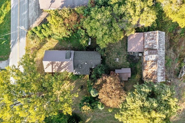 drone / aerial view