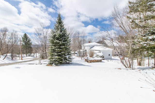 view of yard covered in snow