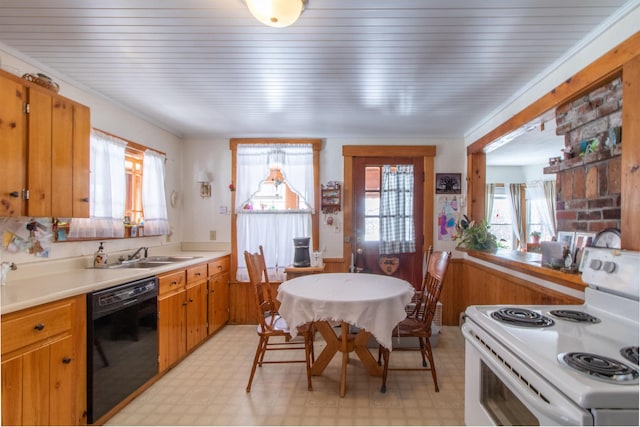 kitchen featuring dishwasher, light floors, a healthy amount of sunlight, and white range with electric stovetop