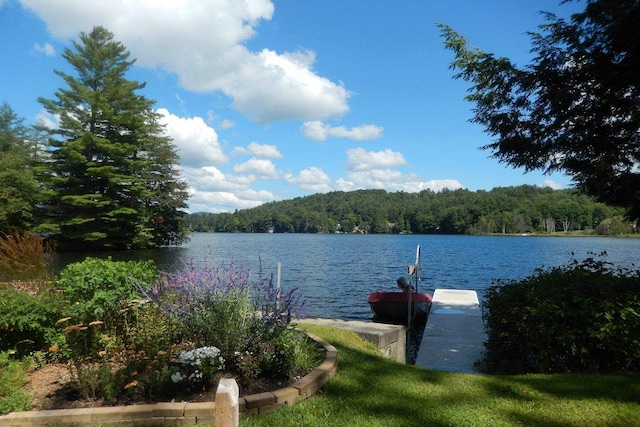 30 Pond St Unit 11, Ludlow, VT 05149 - view of dock featuring a view of trees and a water view