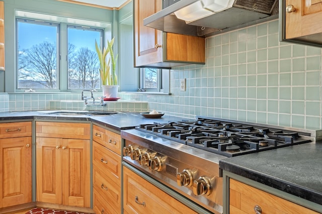 kitchen featuring a wealth of natural light, under cabinet range hood, tasteful backsplash, and a sink