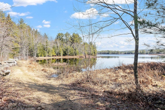 113 Conversevillle Rd, Rindge, NH 03461 - water view with a forest