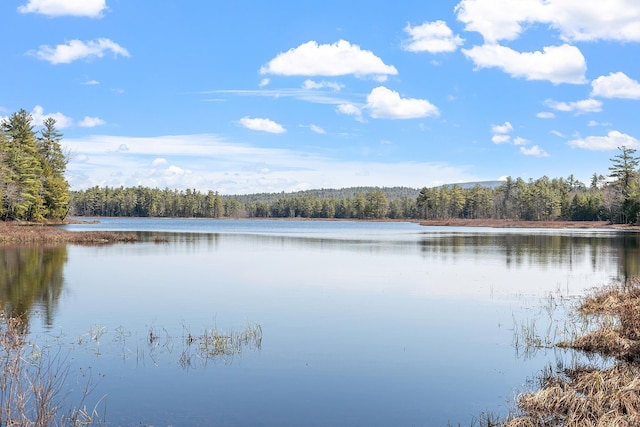 113 Conversevillle Rd, Rindge, NH 03461 - water view featuring a heavily wooded area