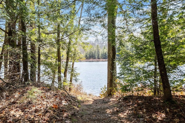 113 Conversevillle Rd, Rindge, NH 03461 - water view featuring a forest