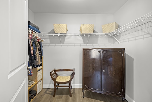 walk in closet featuring wood finished floors