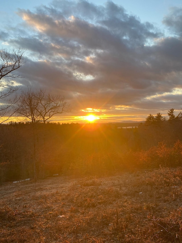 view of nature at dusk