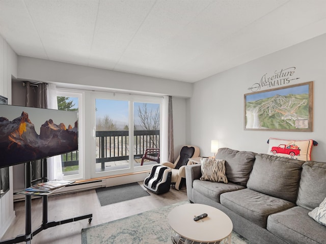 living area with wood finished floors