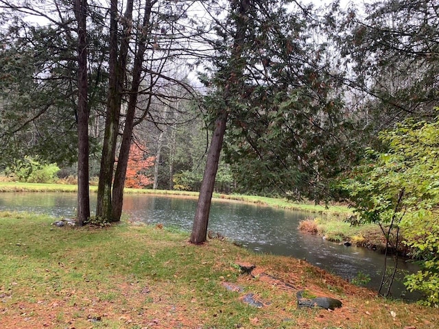 water view featuring a view of trees