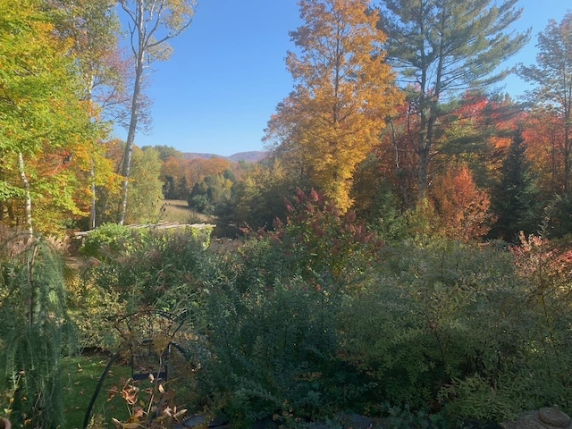 view of nature featuring a wooded view