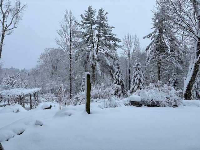 snowy yard featuring a view of trees
