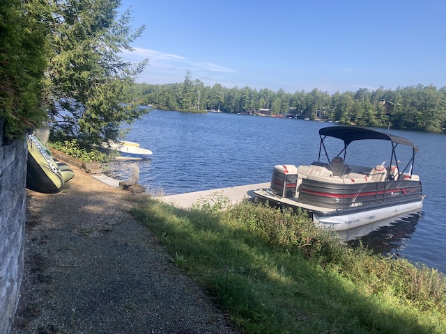 view of dock with a view of trees and a water view