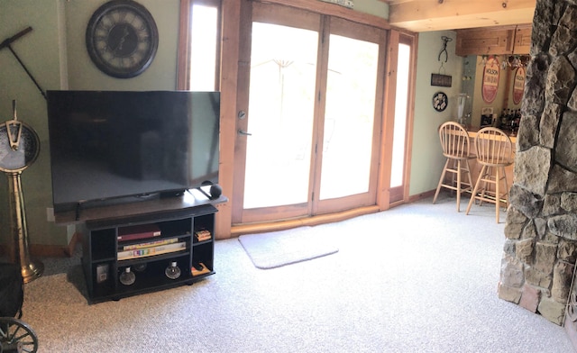 view of carpeted living area