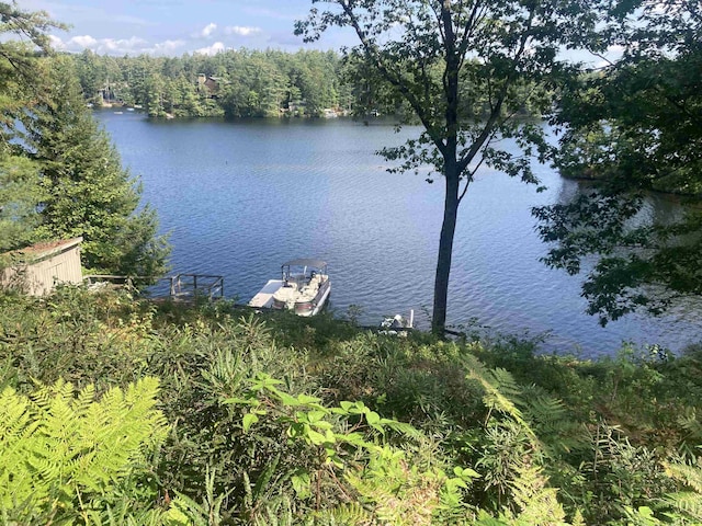 property view of water