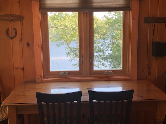 dining space with a wealth of natural light