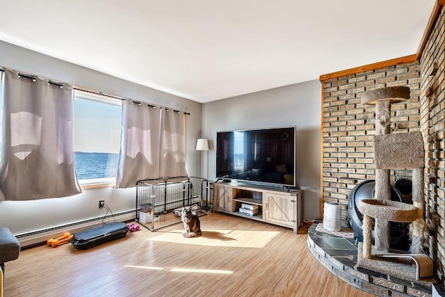 living room with a baseboard radiator and wood finished floors