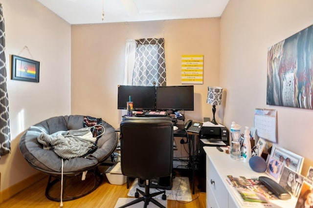 office featuring wood finished floors