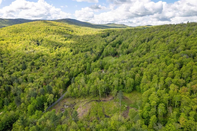0 Mecawee Rd, Woodstock, VT 05091