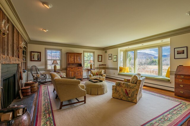 3360 Dorset W Rd, Dorset, VT 05251 - living area with a baseboard heating unit, wood finished floors, a large fireplace, and crown molding