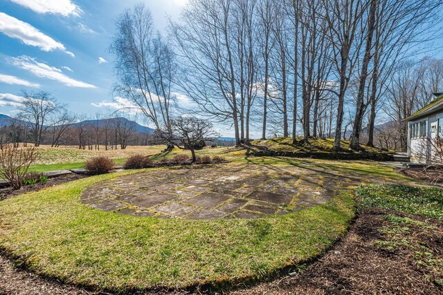 3360 Dorset W Rd, Dorset, VT 05251 - view of yard featuring a mountain view