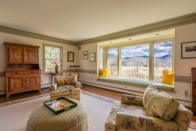 3360 Dorset W Rd, Dorset, VT 05251 - sitting room featuring wood finished floors, visible vents, a mountain view, crown molding, and baseboard heating