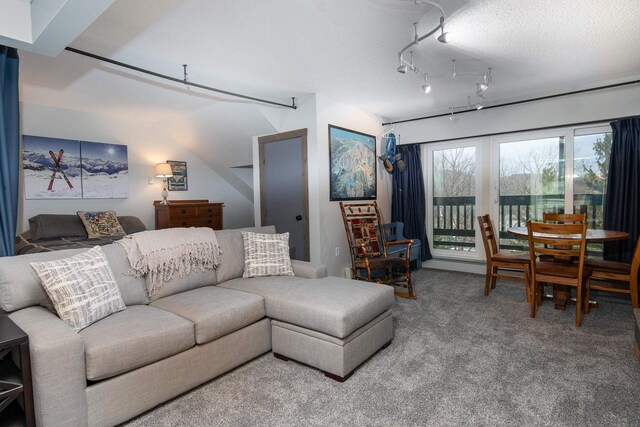 135 E Mountain Rd Unit 1F7, Killington, VT 05751 - living area with carpet floors