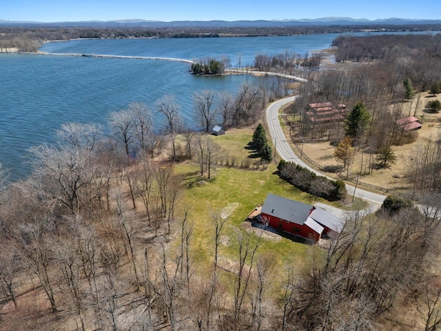 birds eye view of property featuring a water and mountain view