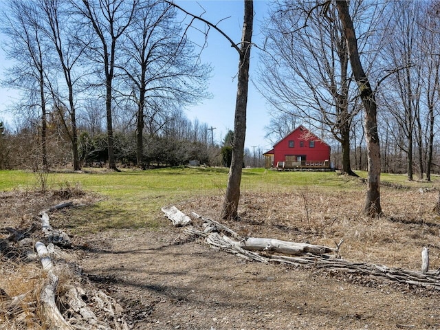 view of yard with an outdoor structure and a barn