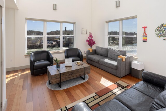 living room featuring wood finished floors